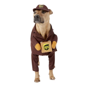 California Costumes UPS Delivery Driver Dog & Cat Costume
