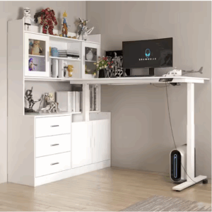 Home Depot standing desk with shelves