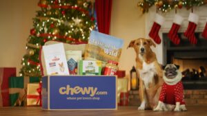 Dogs with a Chewy box during the holidays