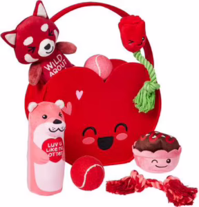 Chewy Valentine love bundle
