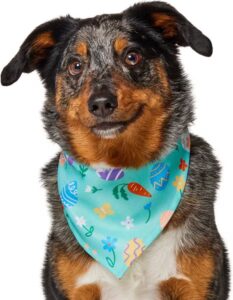 Chewy Frisco bandana - spring fashion
