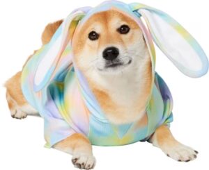 Chewy Frisco bunny hoodie- spring fashion