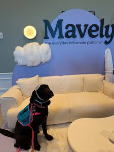 Adorable dog in Mavely booth at Mom 2.0 Summit