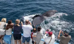 Sightseeing and Tours - Summer Groupon deals