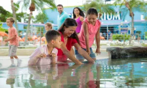 Miami local Groupon summer deals