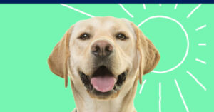 Petco