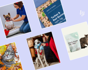 Collage of pet affiliate program images