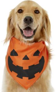 Chewy - Jack O' Lantern Pumpkin Bandana